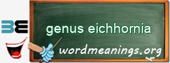 WordMeaning blackboard for genus eichhornia